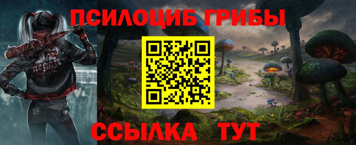Псилоцибиновые грибы Cubensis Великий Устюг